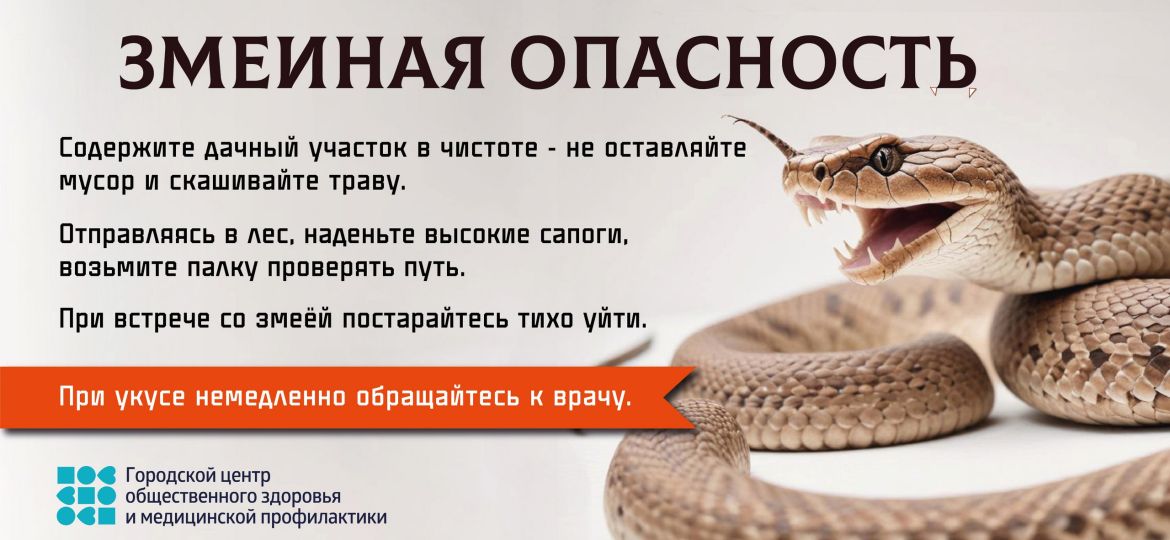 баннер